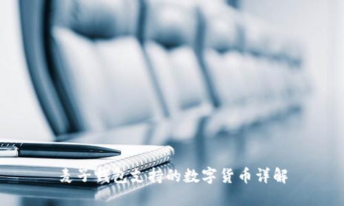 麦子钱包支持的数字货币详解