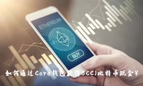 如何通过Core钱包获得BCC（比特币现金）