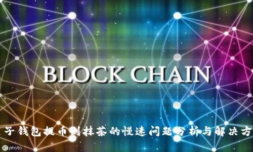 麦子钱包提币到抹茶的慢速问题分析与解决方案