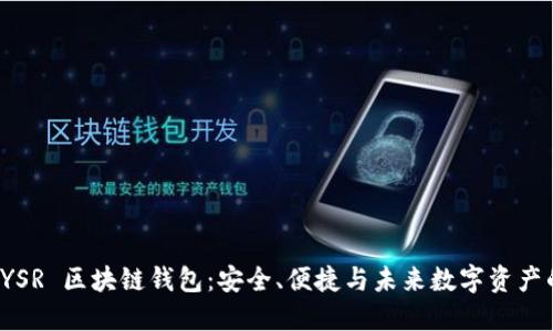探索 YSR 区块链钱包：安全、便捷与未来数字资产的管理