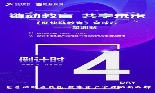 芭蕾比特币钱包：数字资产管理的新选择
