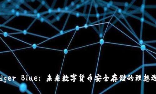Ledger Blue: 未来数字货币安全存储的理想选择