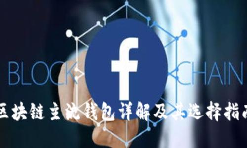 区块链主流钱包详解及其选择指南