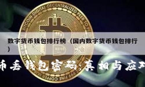 比特币丢钱包密码：真相与应对策略