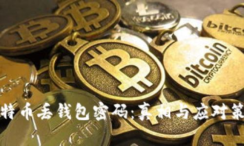 比特币丢钱包密码：真相与应对策略