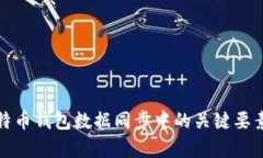 : 比特币钱包数据同步中的