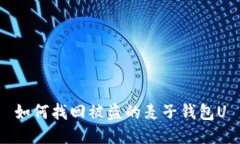 如何找回被盗的麦子钱包