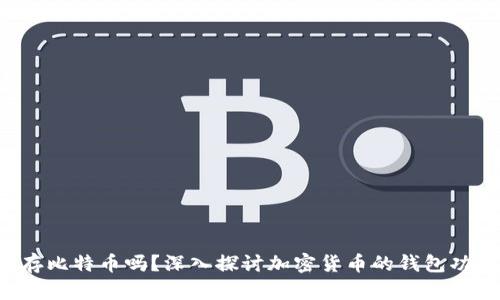  VO钱包能存比特币吗？深入探讨加密货币的钱包功能与安全性