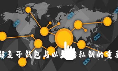 理解麦子钱包与以太坊私钥的重要性