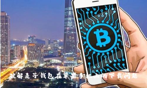 破解麦子钱包在苹果手机上的下载问题