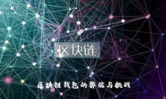 区块链钱包的弊端与挑战