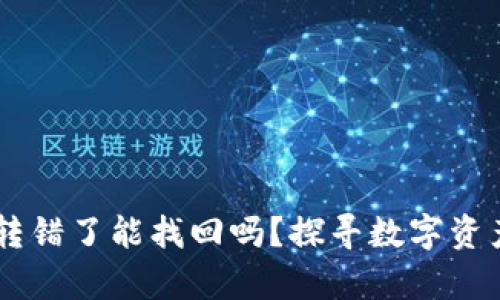 TP钱包USDT转错了能找回吗？探寻数字资产转账的奥秘