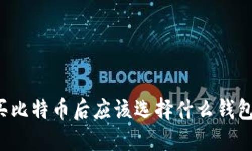 买比特币后应该选择什么钱包？