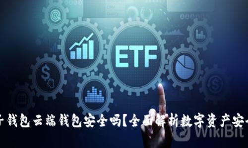 麦子钱包云端钱包安全吗？全面解析数字资产安全性