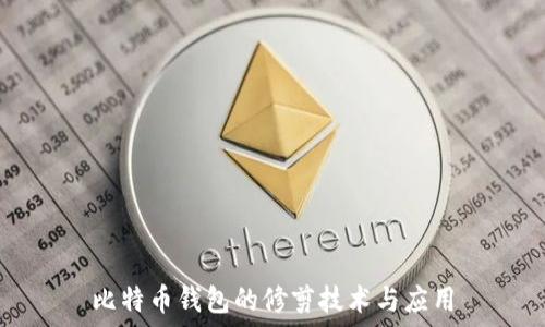   
比特币钱包的修剪技术与应用