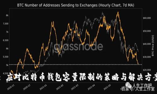 : 应对比特币钱包容量限制的策略与解决方案