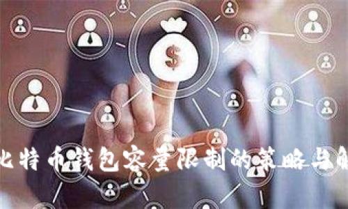 : 应对比特币钱包容量限制的策略与解决方案