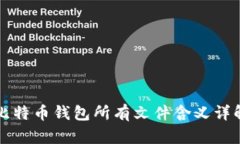 比特币钱包所有文件含义
