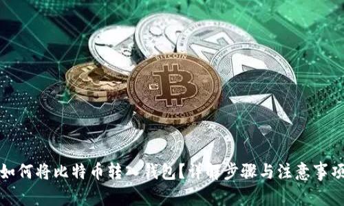 如何将比特币转入钱包？详解步骤与注意事项