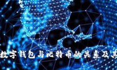 深入探讨数字钱包与比特