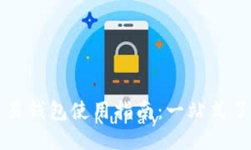 虚拟币交易钱包使用指南：一站式了解与实操