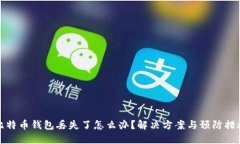 比特币钱包丢失了怎么办
