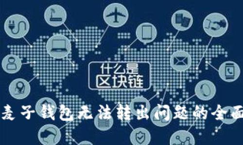 解决麦子钱包无法转出问题的全面指南