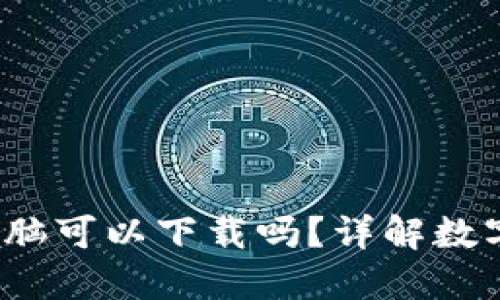  区块链钱包电脑可以下载吗？详解数字资产管理工具