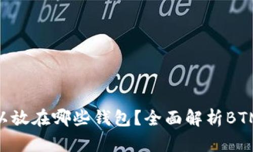 BTM币可以放在哪些钱包？全面解析BTM钱包选择