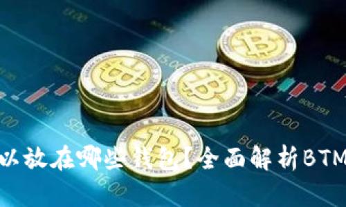 BTM币可以放在哪些钱包？全面解析BTM钱包选择