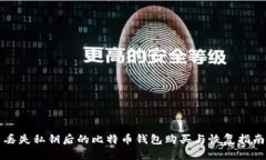 丢失私钥后的比特币钱包