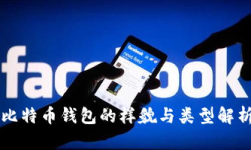 比特币钱包的样貌与类型解析