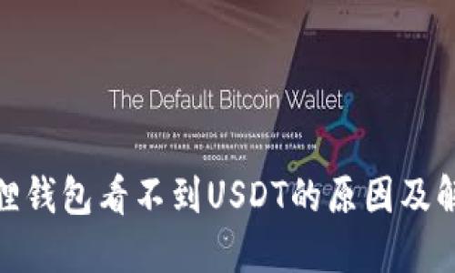 : 小狐狸钱包看不到USDT的原因及解决方案