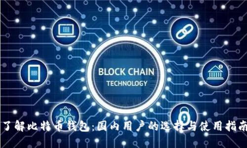 了解比特币钱包：国内用户的选择与使用指南