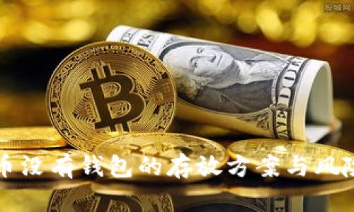 虚拟币没有钱包的存放方案与风险探讨