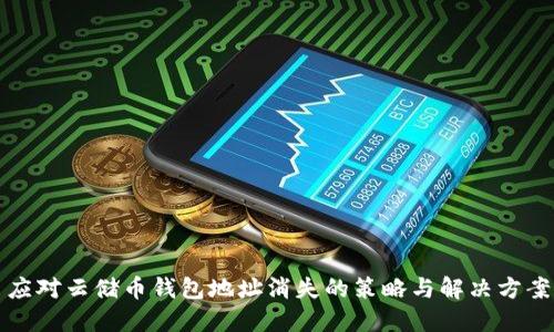 应对云储币钱包地址消失的策略与解决方案