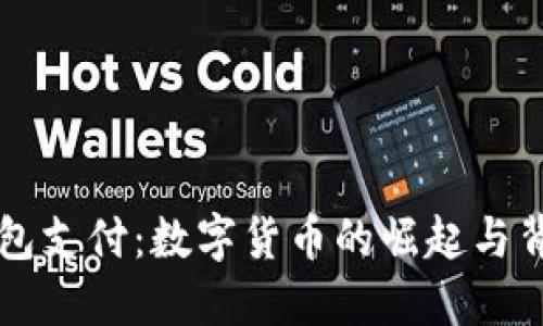 : USDT钱包支付：数字货币的崛起与背后的影响