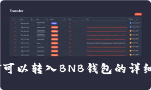 USDT可以转入BNB钱包的详细指南