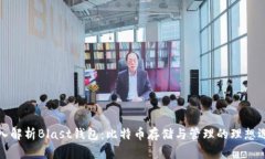 深入解析Blast钱包：比特币