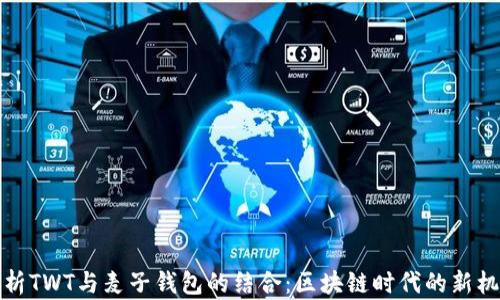 
解析TWT与麦子钱包的结合：区块链时代的新机遇