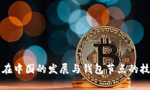 比特币在中国的发展与钱包节点的技术解析