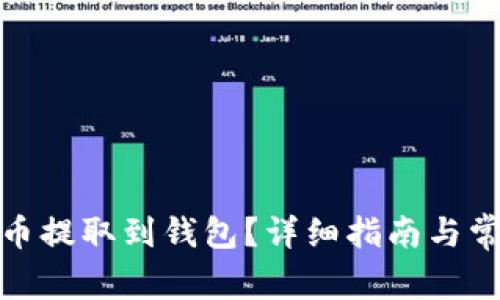 如何将XEM币提取到钱包？详细指南与常见问题解答