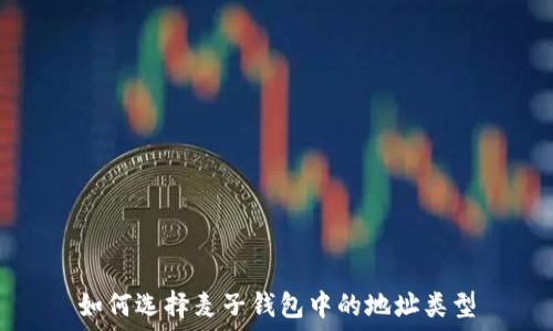   
如何选择麦子钱包中的地址类型