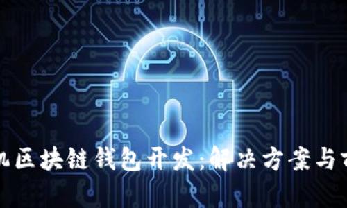 安卓手机区块链钱包开发：解决方案与前景展望