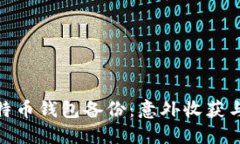 捡到了比特币钱包备份：