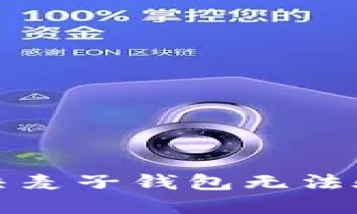 如何解决麦子钱包无法验证问题