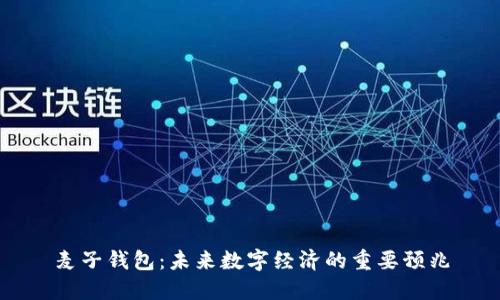 麦子钱包：未来数字经济的重要预兆