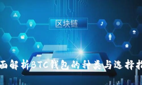 全面解析BTC钱包的种类与选择指南