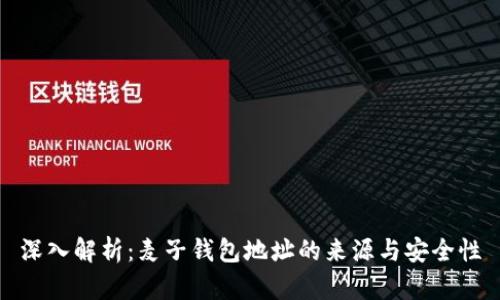 深入解析：麦子钱包地址的来源与安全性