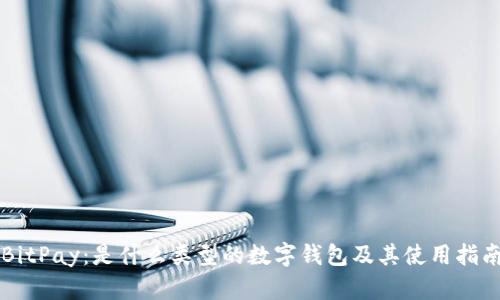 BitPay：是什么类型的数字钱包及其使用指南